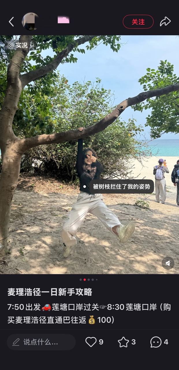 小紅書抱樹貼文1